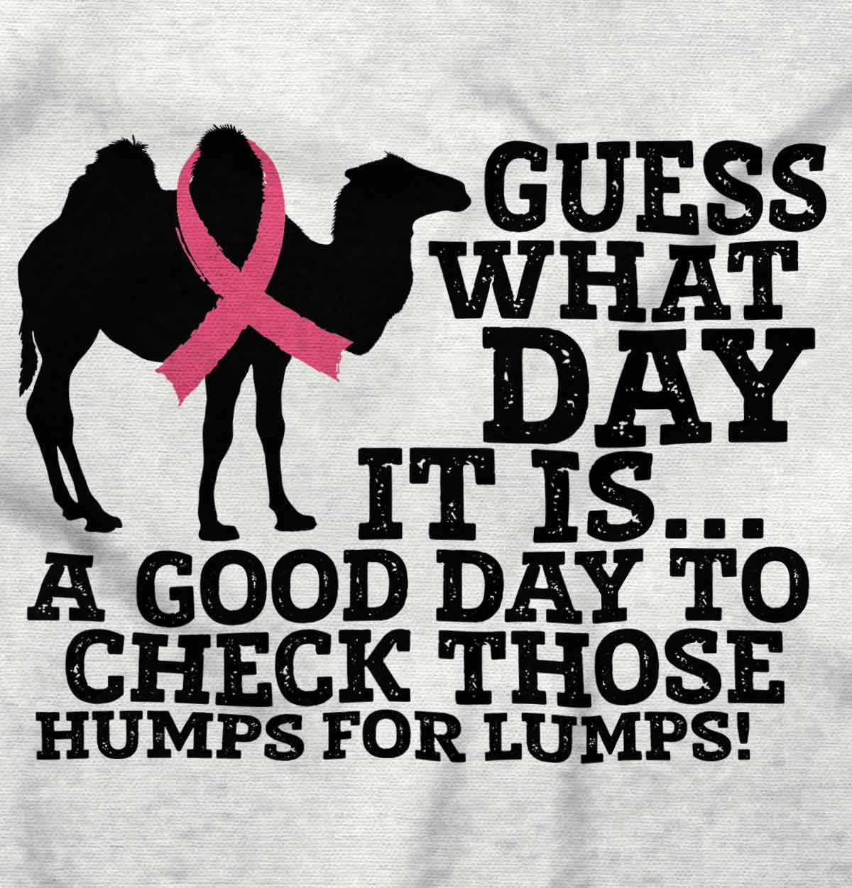 Guess What Day It Is Check Those Humps Bca Womens Short Sleeve Crewneck