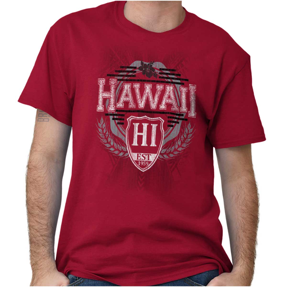 hawaii souvenir shirts