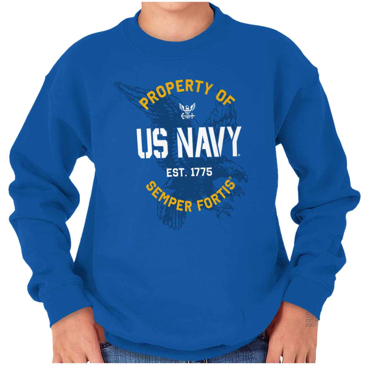 Semper Fortis Property of US Navy Est 1775 Youth Fleece Sweatshirt Boy ...